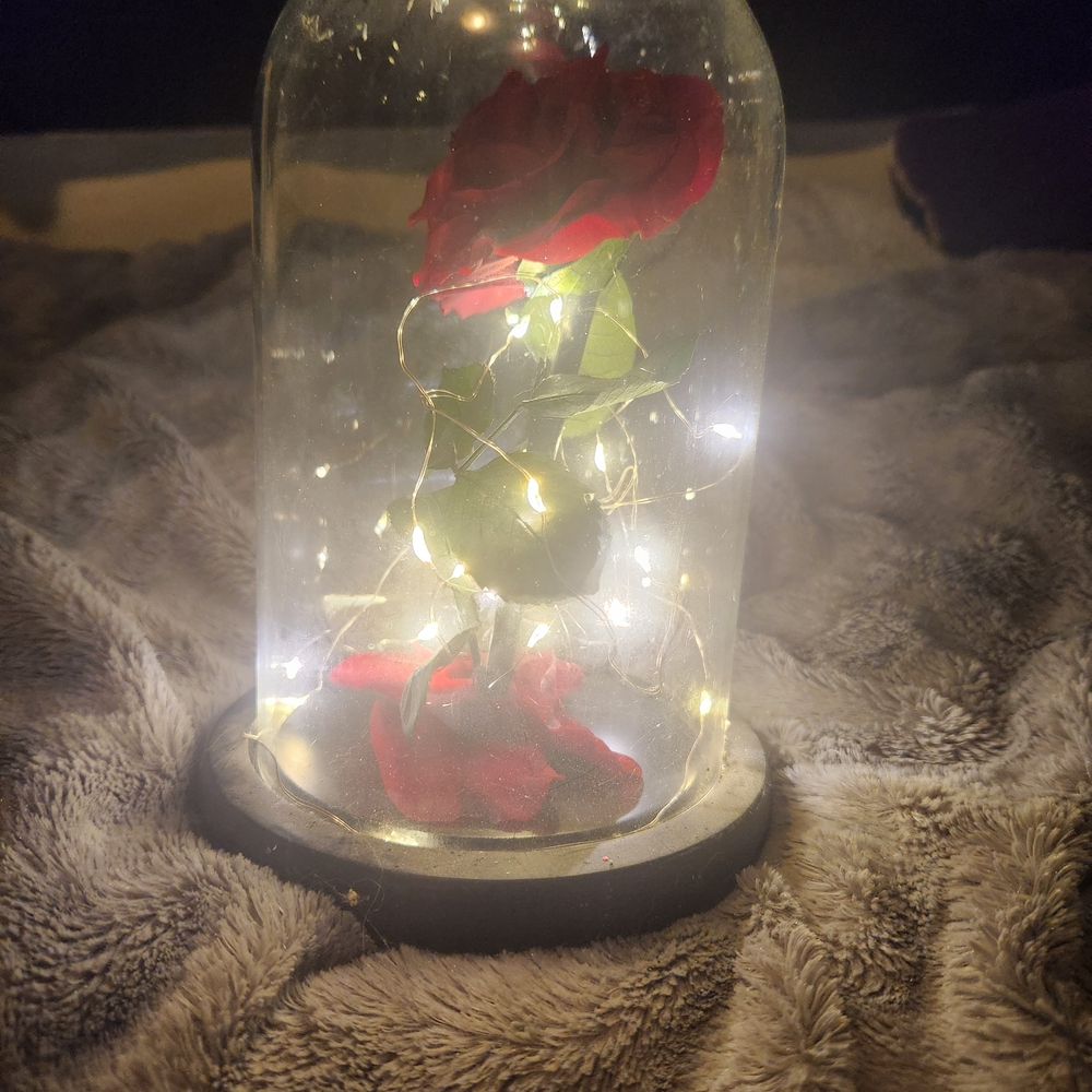 Enchanted Rose with LED Lights